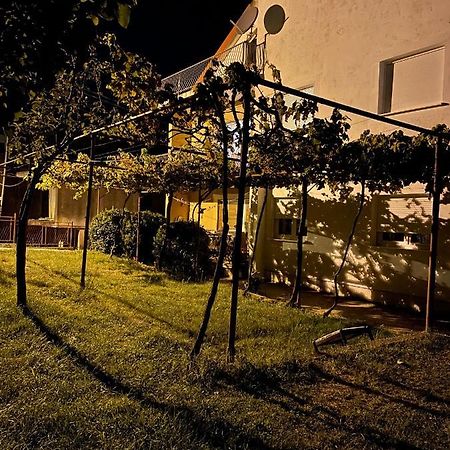 Entire Spacious Apartment With Free Parking Ποντγορίτσα Εξωτερικό φωτογραφία
